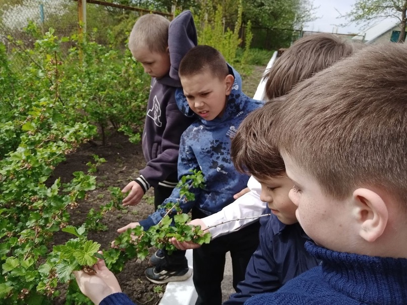 Юные эколята Смородинской школы провели на территории экологическую инспекцию..