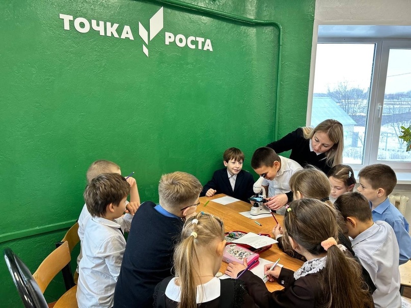 А как выглядит лапка жука под микроскопом?.