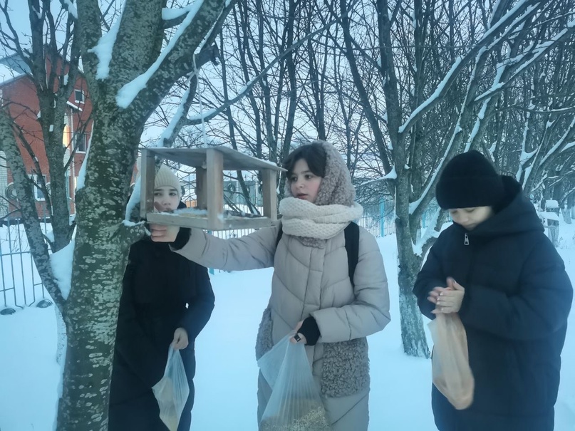 Акция «Покормите птиц зимой» продолжается..