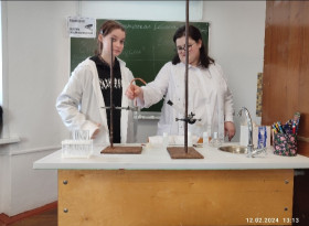 На уроке химии в 9 классе обучающиеся провели качественные реакции для определения углекислого газа и карбонатов..